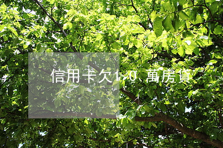 信用卡欠10萬房貸