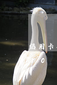 信用卡欠10萬月薪6千怎么還-信用卡欠10萬月薪6千怎么還款