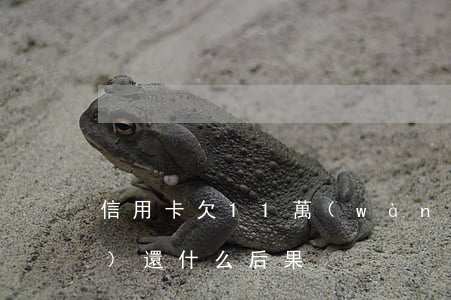 信用卡欠11萬(wàn)5年沒(méi)還什么后果