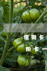 信用卡欠11萬(wàn)逾期一年-欠信用卡一萬(wàn)多逾期一年了