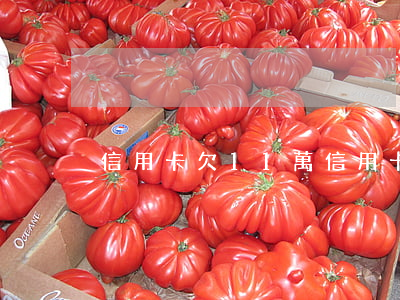 信用卡欠11萬 信用卡欠11萬怎么辦