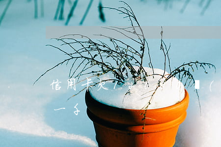 信用卡欠12000會(huì)(欠信用卡一千)