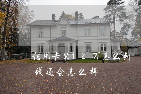 信用卡欠12万怎么判-欠信用卡十二万没钱还会怎么样