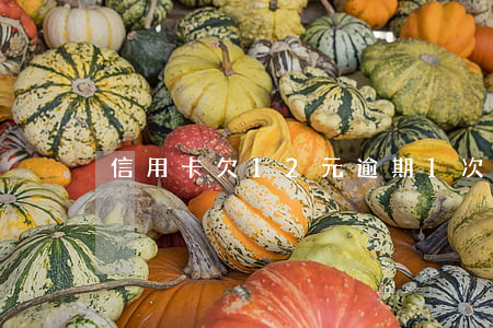 信用卡欠12元逾期1次(十幾張信用卡逾期)