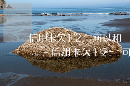 信用卡欠12萬可以和銀行協(xié)商嗎-信用卡欠12萬可以和銀行協(xié)商嗎知乎