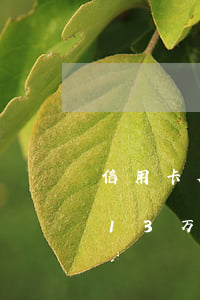 信用卡欠13万无力偿还怎么办-信用卡欠13万无力偿还怎么办呢