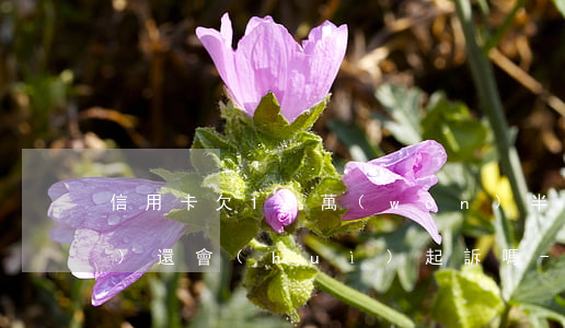 信用卡欠13萬(wàn)半年沒(méi)還會(huì)起訴嗎-信用卡欠13萬(wàn)半年沒(méi)還會(huì)起訴嗎怎么辦