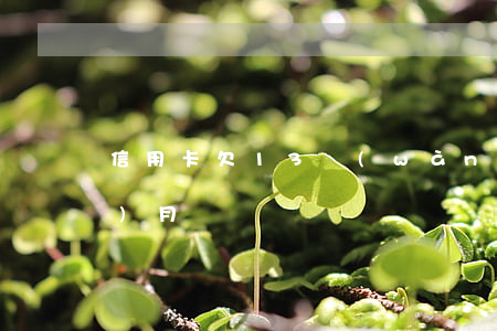 信用卡欠13萬(wàn)逾期3個(gè)月