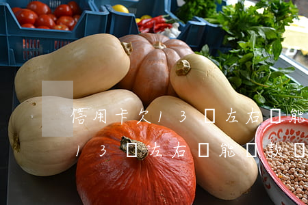 信用卡欠13萬左右還能貸款嗎-信用卡欠13萬左右還能貸款嗎知乎