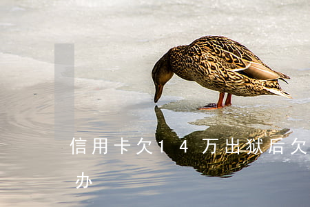 信用卡欠14万出狱后(欠信用卡14万怎么办)