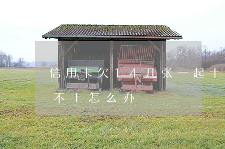 信用卡欠14几张一起 十几张信用卡逾期还不上怎么办