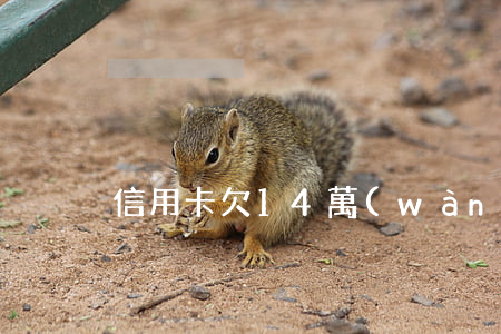 信用卡欠14萬(wàn)怎么辦