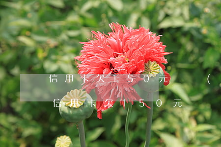 信用卡欠150元連續(xù)逾期7次-信用卡欠150元連續(xù)逾期7次會(huì)怎樣