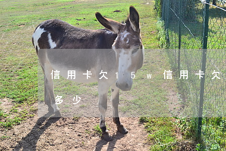 信用卡欠15w(信用卡欠15万一个月利息多少)