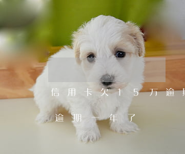 信用卡欠15万逾期一年多(欠信用卡一万多逾期一年了)