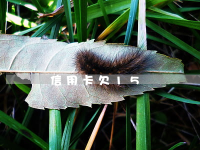 信用卡欠15萬賬單圖