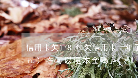 信用卡欠18年 欠信用卡十年了現(xiàn)在可以還本金嗎?