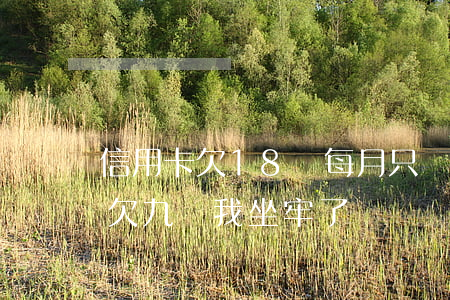 信用卡欠18萬每月只還3000-信用卡欠九萬我坐牢了