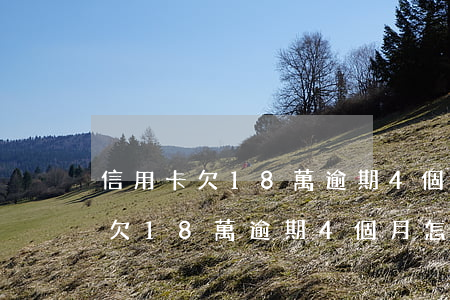 信用卡欠18萬逾期4個月怎么辦-信用卡欠18萬逾期4個月怎么辦理