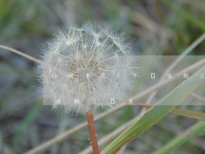 信用卡欠19萬逾期三個月(信用卡欠19萬逾期三個月)