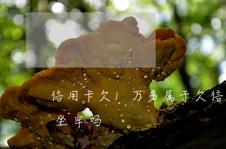 信用卡欠1万多属于(欠信用卡一万多块钱会坐牢吗)