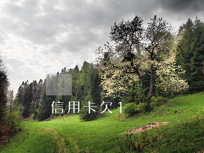 信用卡欠1個億