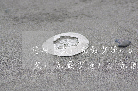 信用卡欠1元最少还10元怎么办-信用卡欠1元最少还10元怎么办理