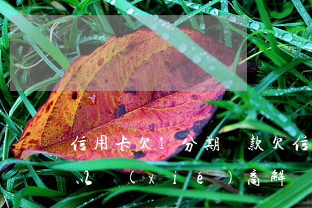 信用卡欠1分期還款(欠信用卡分期還不上可以協(xié)商解決嗎)