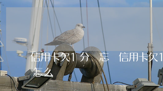 信用卡欠1分錢忘還(信用卡欠1分錢忘還款怎么辦)