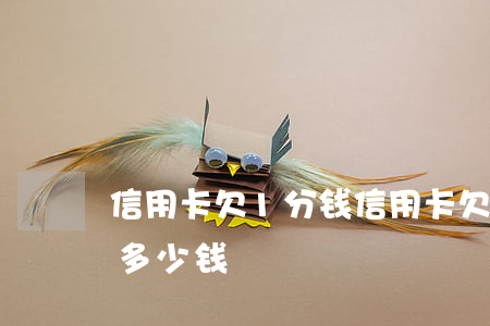 信用卡欠1分钱(信用卡欠1分钱6年后要还多少钱)