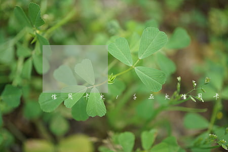 信用卡欠1千五 欠信用卡1千可以起訴嗎