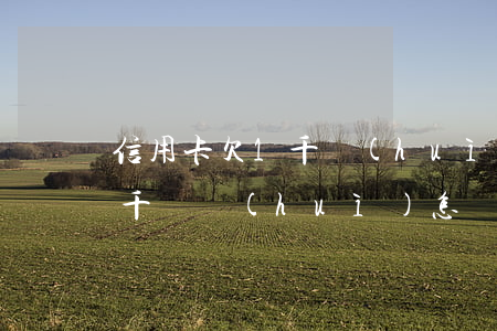 信用卡欠1千會(huì)怎樣(欠信用卡一千塊會(huì)怎樣)