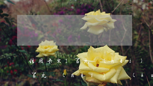 信用卡欠1百元沒(méi)還(信用卡欠1百元沒(méi)還會(huì)怎樣)