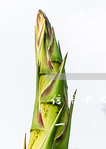 信用卡欠1萬(wàn)2怎么倒(欠信用卡一萬(wàn)多會(huì)怎么樣)