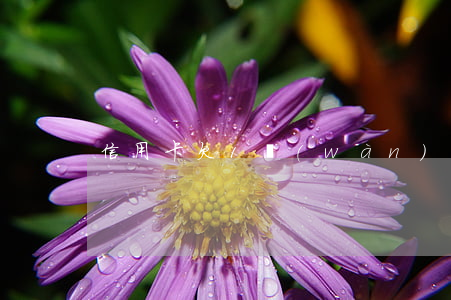 信用卡欠1萬(wàn)2逾期