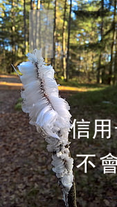 信用卡欠1萬(wàn)以下會(huì)不會(huì)被起訴-信用卡欠1萬(wàn)以下會(huì)不會(huì)被起訴?