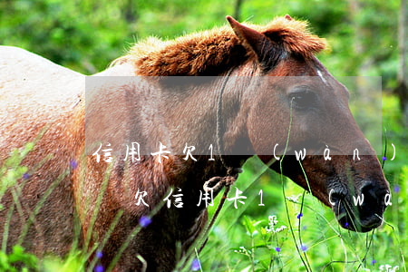 信用卡欠1萬(wàn)多會(huì)上門(欠信用卡1萬(wàn)多,他們會(huì)不會(huì)上門來(lái)找?)