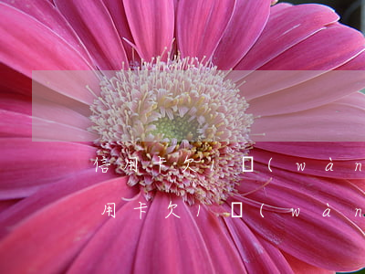 信用卡欠1萬(wàn) 沒(méi)還(信用卡欠1萬(wàn)沒(méi)還)