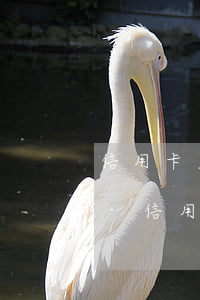 信用卡欠1萬(wàn)逾期三年了怎么辦-信用卡欠1萬(wàn)逾期三年了怎么辦