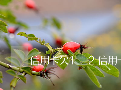 信用卡欠1萬2 信用卡欠1萬2逾期3年了