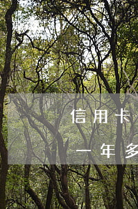 信用卡欠1萬一年了-欠信用卡一萬塊逾期一年多還不上怎么辦