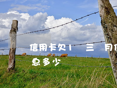 信用卡欠1萬三個月(信用卡欠1萬三個月利息多少)