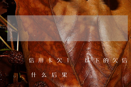信用卡欠1萬以下的(欠信用卡1萬元不還有什么后果)