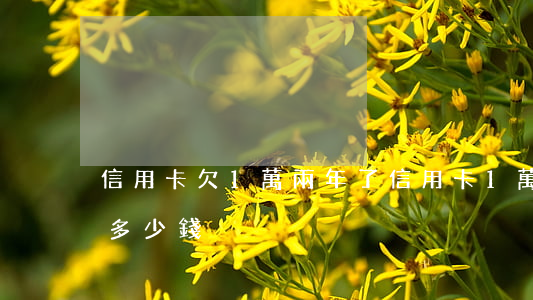 信用卡欠1萬兩年了(信用卡1萬逾期兩年還多少錢)