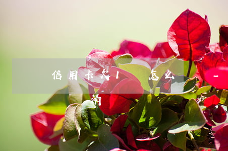 信用卡欠1萬怎么樣還-信用卡欠1萬怎么樣還清