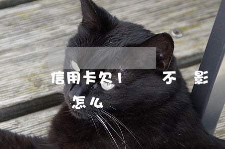 信用卡欠1萬會不會影響貸款(欠信用卡一萬會怎么樣)