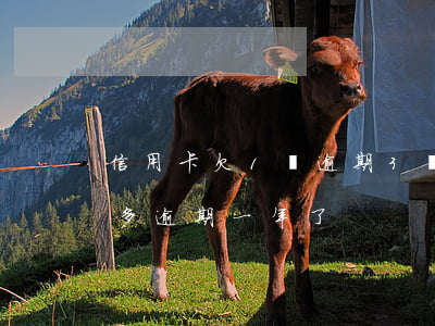信用卡欠1萬逾期3個月后果(欠信用卡一萬多逾期一年了)