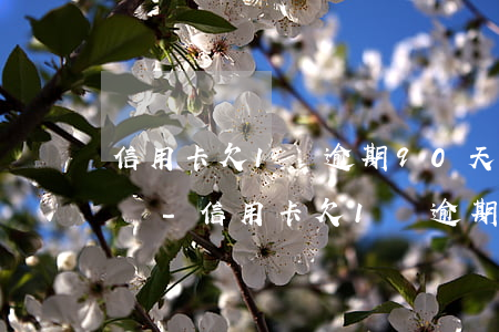 信用卡欠1萬逾期90天了會(huì)怎樣-信用卡欠1萬逾期90天了會(huì)怎樣處理