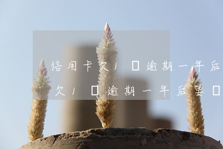 信用卡欠1萬逾期一年后要還多少-信用卡欠1萬逾期一年后要還多少錢