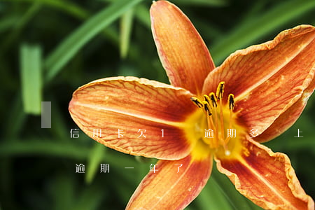 信用卡欠1萬逾期多會上門(欠信用卡一萬多逾期一年了)